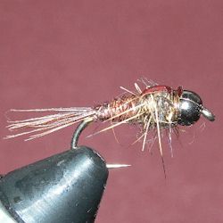 Pheasant Tail (Hare) - ready to go fishing!!