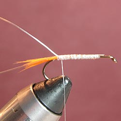 Step 1 Tying the Gray Ghost