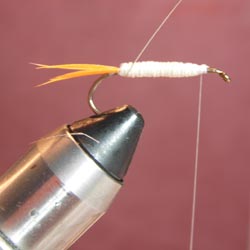 Step 2 Tying the Gray Ghost