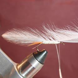 Step 6 Tying the Gray Ghost