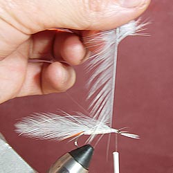 Step 7 Tying the Gray Ghost