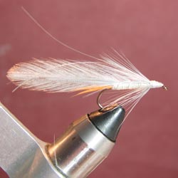 Step 8 Tying the Gray Ghost