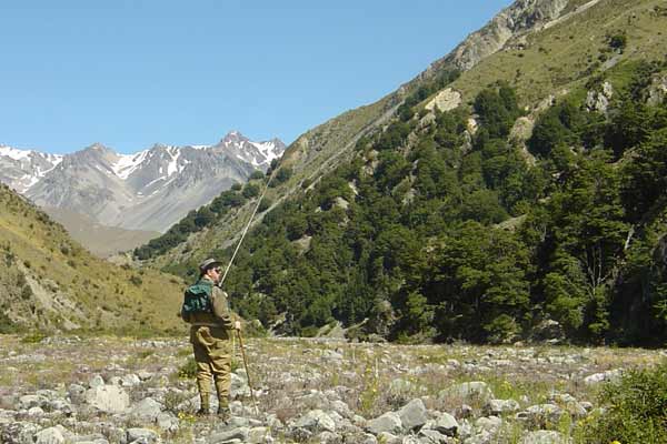 Rangitata