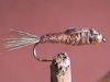 Pheasant Tail Gold Tungsten BH