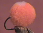 Glo Bugs Orange/Champagne dot