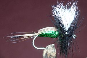 Blow Fly Green