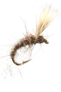 DHE - GC