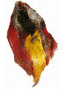 Golden Pheasant Skin