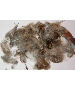 Hungarian Partridge Feathers