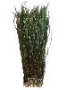 Peacock Herl