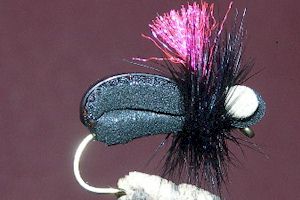 Stu's Magic Beetle Black
