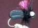 Stu's Magic Beetle Black