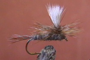 Adams Parachute - Deadly when the fish are taking mayflies...