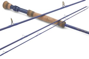 TFO Axiom