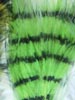 Marabou Barred