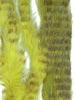 Barred Zonker Strips