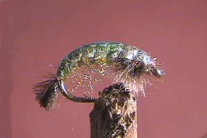 Caddis (Net Building) Olive