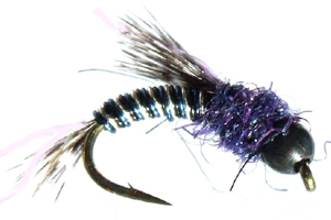 Berry Nymph Blackberry