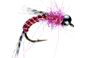 Berry Nymph Raspberry
