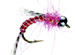 Berry Nymph Raspberry