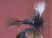 Blowfly (Blue or Green)