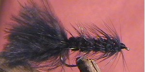 Woolly Buggers Black