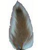 Bucktails