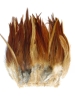 Woolly Bugger Saddle Hackle