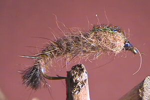 Caddis Entwistle's Buller Caddis