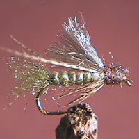 Caddis Emerger - Olive
