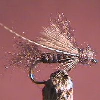 Caddis Emerger Brown