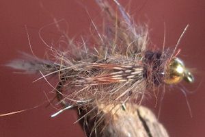 Caddis Flashback (Hares Ear)