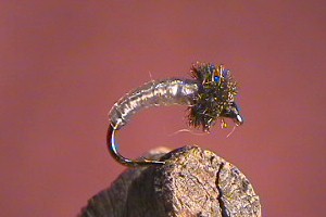 Caddis ( Latex )