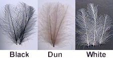 CDC Feathers