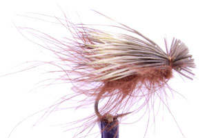 CDC Elk Caddis Brown - GC