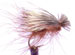 CDC Elk Caddis Brown - GC