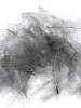 CDC Feathers Barred - End of Line