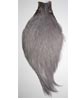 Chinese Rooster Capes