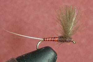 CDC Comparadun - Mahogany