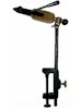 Crown Vice