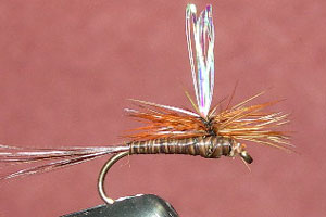 Dads Favourite Parachute GC