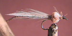 Damsel Fly Tan