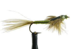 Swimming Damsel Dark Olive