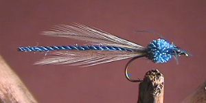 Damsel Fly Blue