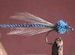 Damsel Fly Blue