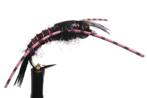 Davis Stonefly Black