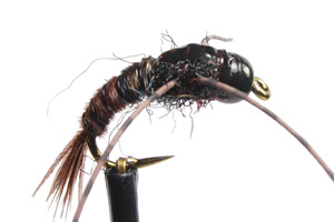 Davis Stonefly PT