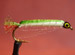 Doll Fly Grn
