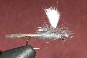 Blue Dun Parachute