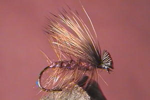 Caddis - Elk Hair Brown